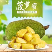皇裔 海南新鲜黄肉菠萝蜜1个 17-25斤