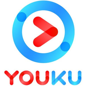 优酷 VIP会员 12个月 官方秒冲
