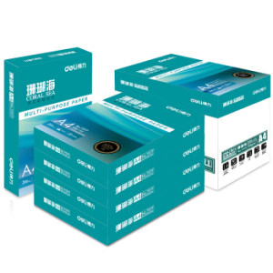 deli 得力 珊瑚海 80g A4 复印纸 500张/包 5包1箱