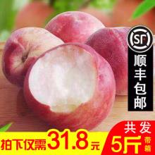 尚美滋 山东金秋红蜜水蜜桃 净重4.5斤