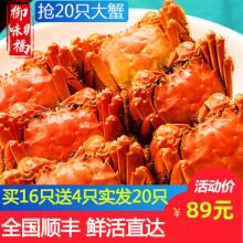 御味福 鲜活大闸蟹 20只