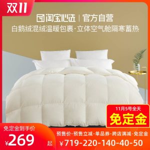 淘宝心选 西伯利亚混合白鹅绒 羽绒被填充450g 269元预售到手价