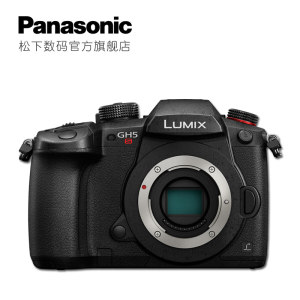 Panasonic 松下 LUMIX G DC-GH5S 微型单电数码相机