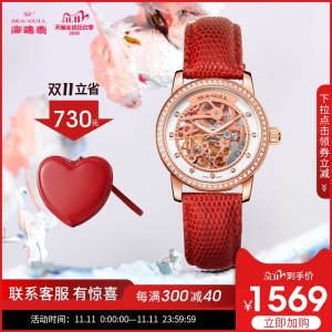海鸥 Seagull 女镂空水钻全自动机械表