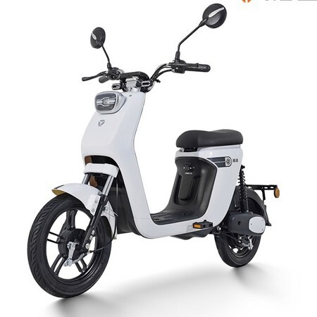 限地区：Yadea 雅迪 欧致 48V24AH 电动车