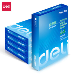 历史低价： deli 得力 莱茵河 A4复印纸 80g 500张/包 5包装（2500张）