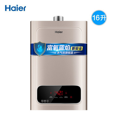 Haier 海尔 JSQ31-16WD5(12T) 燃气热水器 16升