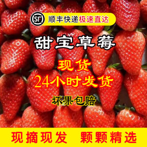 初篇 新鲜甜宝草莓 3斤