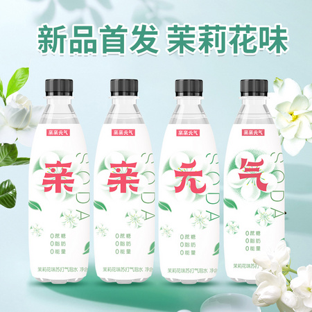 亲亲元气 苏打水 500ml*12瓶
