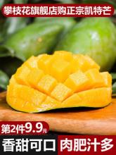 第二件9.9元！攀枝花凯特芒果大果5斤