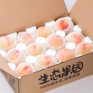 正宗无锡阳山 水蜜桃 12个 单个5两左右
