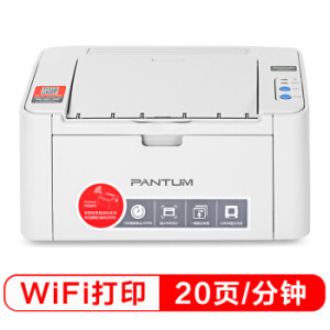 PANTUM 奔图 P2206 黑白激光打印机