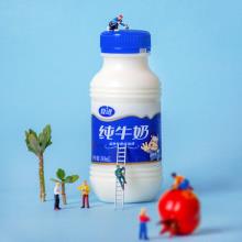 夏进 塞上牧场纯牛奶整箱24瓶