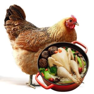 农家散养三黄鸡 约800g/只