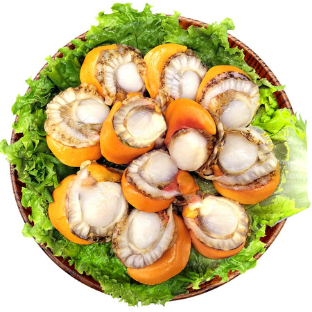 星渔 大号去壳扇贝肉 500g *3件
