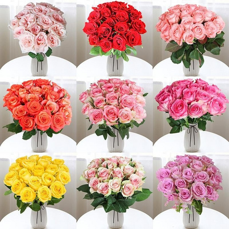 单色玫瑰花鲜花 花束10支+送10支防损耗