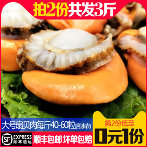 星渔 山东烟台冷冻去壳扇贝肉 4.5斤
