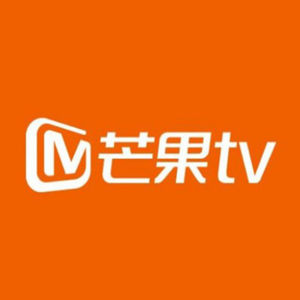 芒果TV会员 13个月 手机+平板+电脑
