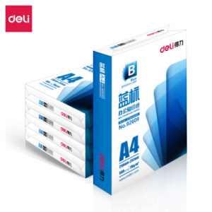 31日8点： deli 得力 92609 蓝标 A4复印纸 70g 500张/包 5包整箱装（2500张）