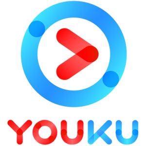 优酷 VIP会员年卡 12个月