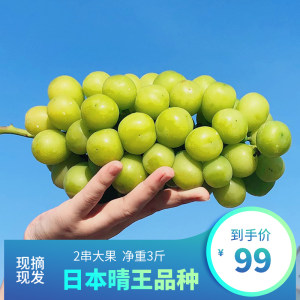 日本晴王品种 阳光玫瑰青提 3斤 79元包邮