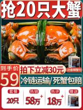鲜活 六月黄清水河蟹 20只 默认发A 只只有黄