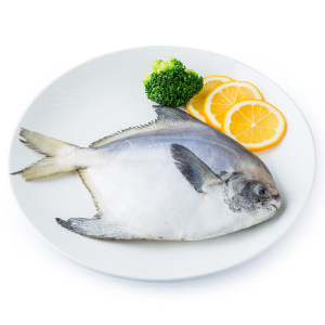 东海野生白鲳鱼 500g*4件 每斤约6~8条