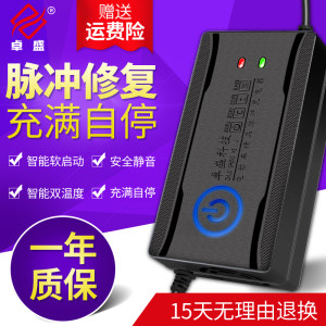 自动断电智能脉冲 电动车电瓶充电器 爱玛雅迪通用