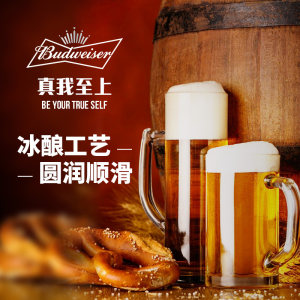 百威啤酒 冰啤 榉木发酵 口感清爽 500ml*18听