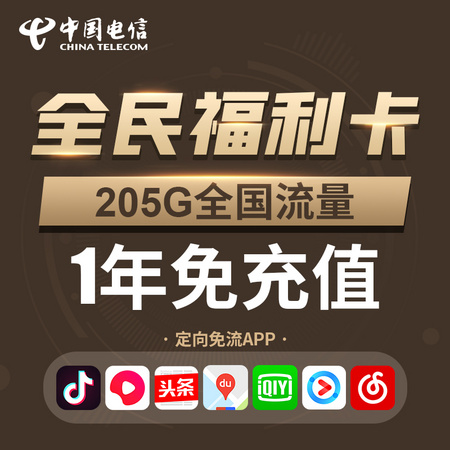 CHINA TELECOM 中国电信 福利卡 5G通用+200G定向+100分钟通话