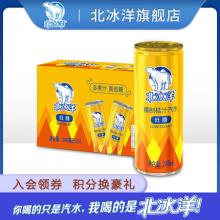 北冰洋 精制桔汁汽水 248ml*12听