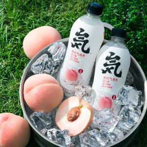 元気森林 0糖0脂0卡路里 白桃味苏打气泡水 480ml*12瓶 59.9元划算价