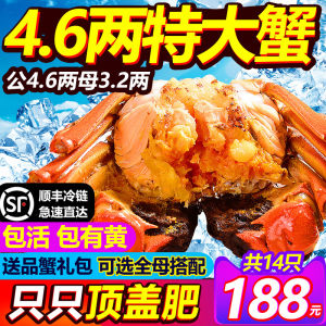 副会长单位 阳澄湖大闸蟹 公4.6/母3.2 共14只 178元丰收狂欢价