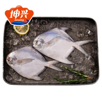 坤兴 冷冻东海白鲳 300g/袋装 *7件