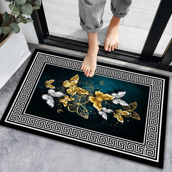 眩琨 简约入户地垫 40*60cm