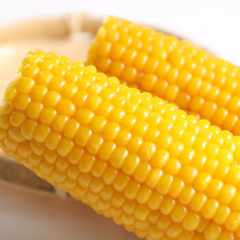 百隆达 东北黄糯玉米 220g*8棒