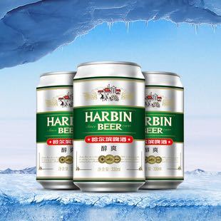临期品： HARBIN 哈尔滨啤酒 醇爽 330ml*12罐
