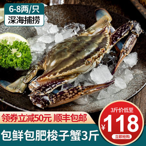 九号码头 特大6-8两 舟山新鲜梭子蟹 3斤 液氮活冻 108元包邮