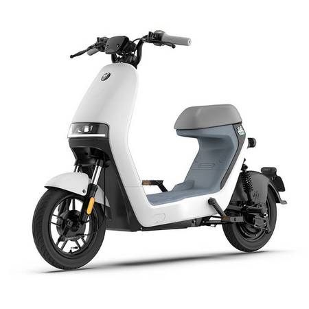 Ninebot 九号 A30C 智能电动车