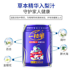 CCTV星光大道指定饮品 一枝笔 莱阳梨汁清咽润喉功能饮料  245ml*6罐