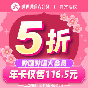哔哩哔哩 大会员年卡 12个月