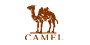 camel旗舰店